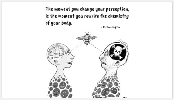 Use this life-changing shift of perception – Alpha M
